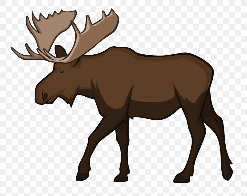 Moose Reindeer Wildlife Animal, PNG, 1503x1191px, Moose, Animal, Antler, Biome, Cattle Download Free