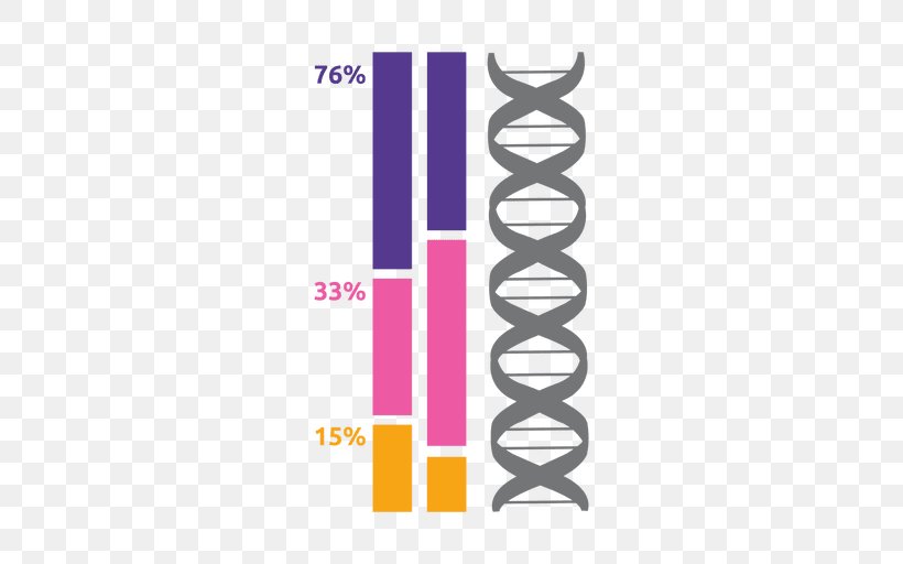 Nucleic Acid Double Helix DNA, PNG, 512x512px, Nucleic Acid Double Helix, Brand, Dna, Helix, Infographic Download Free