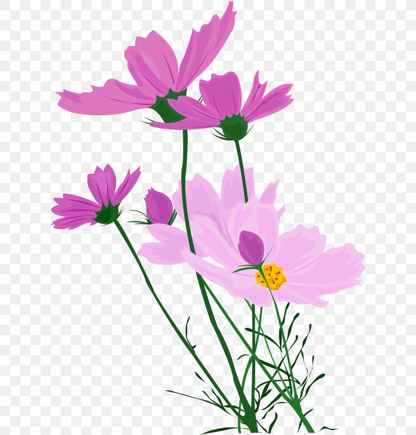 Wildflower, PNG, 621x857px, Flower, Annual Plant, Chrysanths, Color, Cosmos Download Free