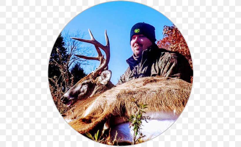 Deer Hunting White-tailed Deer Antler, PNG, 500x500px, Deer, Ambush, Antler, Bedding, Deer Hunting Download Free