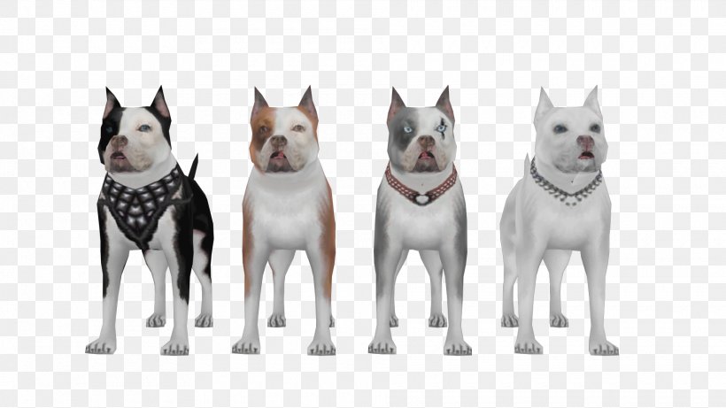 San Andreas Multiplayer American Pit Bull Terrier German Shepherd Grand Theft Auto: San Andreas, PNG, 1920x1080px, San Andreas Multiplayer, American Pit Bull Terrier, Animal, Breed, Canidae Download Free