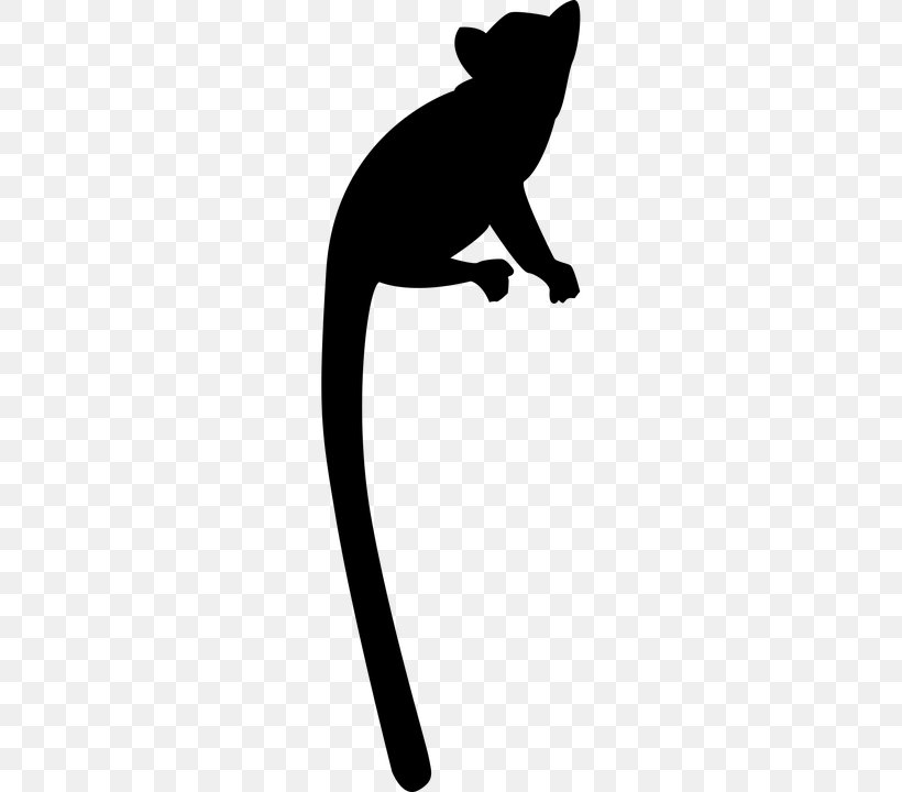 Cat Ring-tailed Lemur Primate Clip Art, PNG, 360x720px, Cat, Black, Black And White, Black Lemur, Canidae Download Free