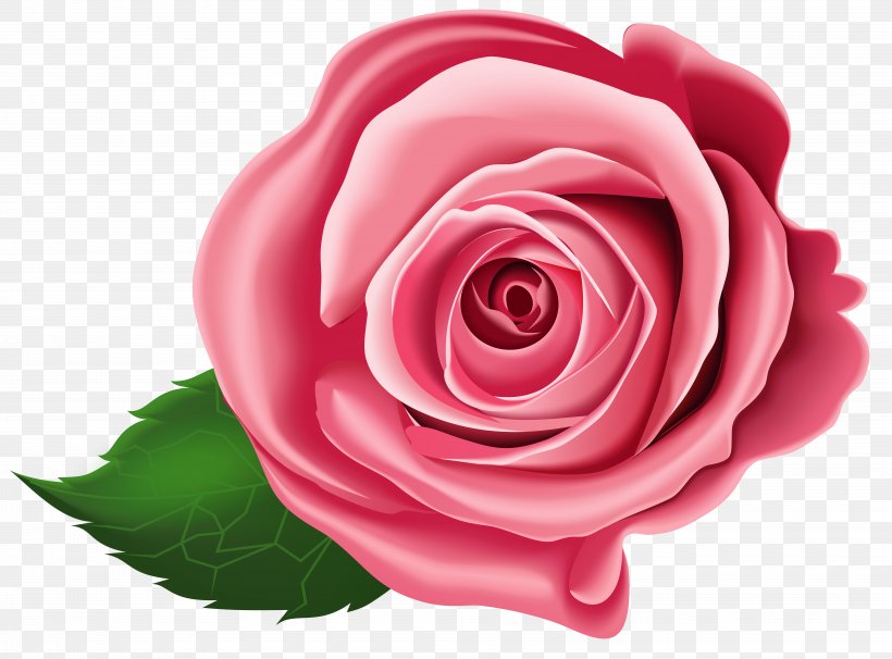 Clip Art, PNG, 8000x5914px, Rose, Animation, Art, Close Up, Cut Flowers Download Free