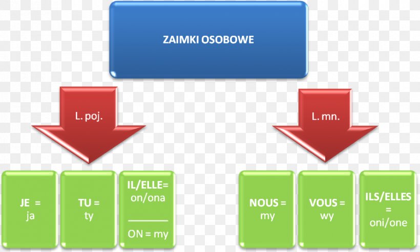 Personal Pronoun French Language T–V Distinction Subject, PNG, 891x536px, Pronoun, Brand, Communication, Diagram, French Language Download Free