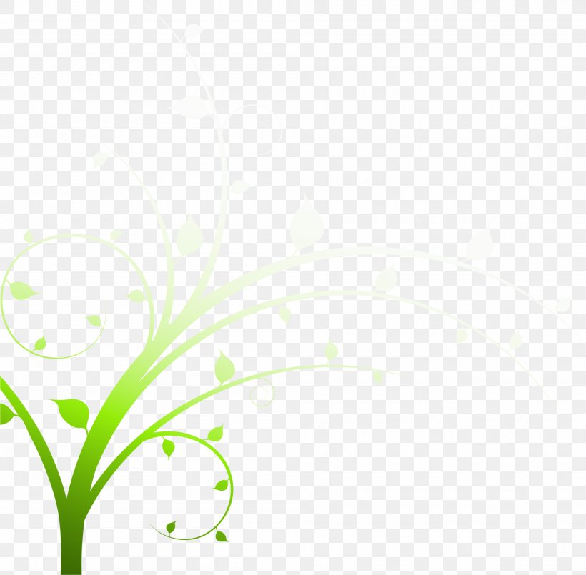 Area Angle Pattern, PNG, 2000x1964px, Area, Grass, Green, Point, Rectangle Download Free