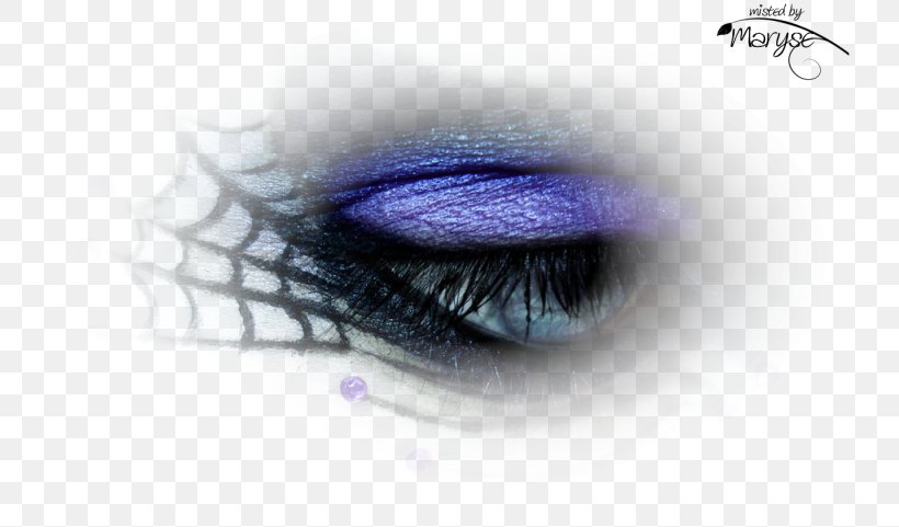 Eye Shadow Eyelash Extensions Cosmetics, PNG, 737x481px, Eye Shadow, Abstract, Animal, Christmas, Close Up Download Free