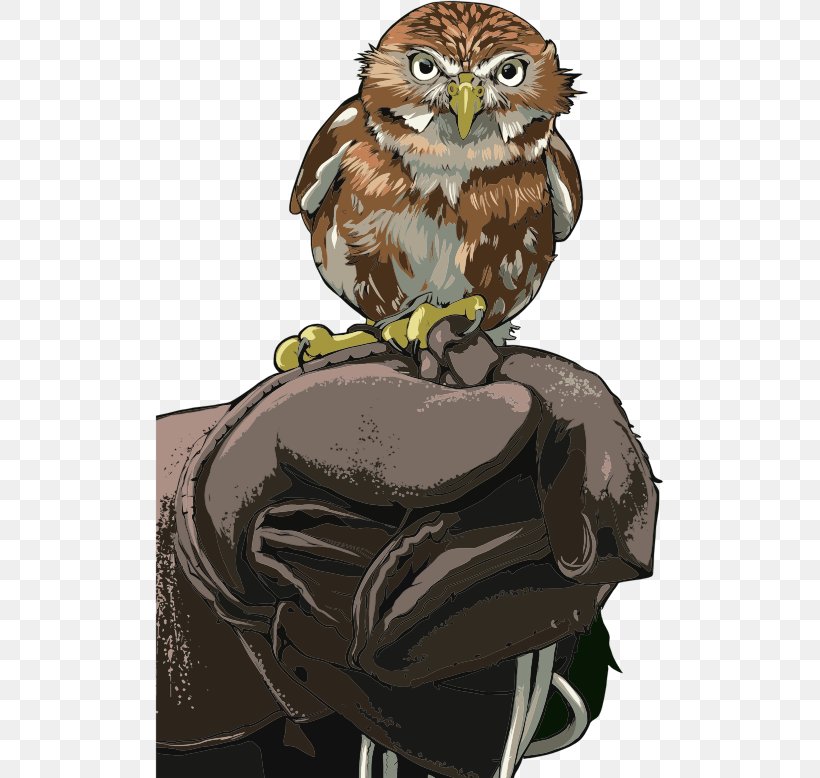Owl Bird Image Clip Art Vector Graphics, PNG, 509x778px, Owl, Beak, Bird, Bird Of Prey, Cartoon Download Free