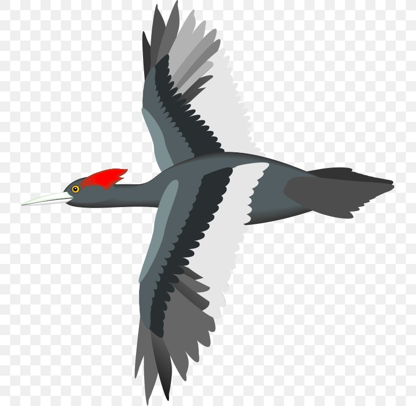 Bird Flight Sparrow Parrot Goose, PNG, 735x800px, Bird, Animation, Beak, Bird Flight, Ducks Geese And Swans Download Free