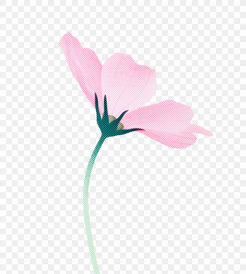 Plant Stem Flower Cyclamen M Herbaceous Plant Petal, PNG, 1536x1710px, Plant Stem, Biology, Computer, Cyclamen, Cyclamen M Download Free