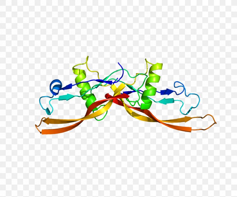 Bone Morphogenetic Protein 2 Bone Morphogenetic Protein 6, PNG, 1200x1000px, Bone Morphogenetic Protein, Bone, Bone Morphogenetic Protein 2, Bone Morphogenetic Protein 4, Bone Morphogenetic Protein 6 Download Free