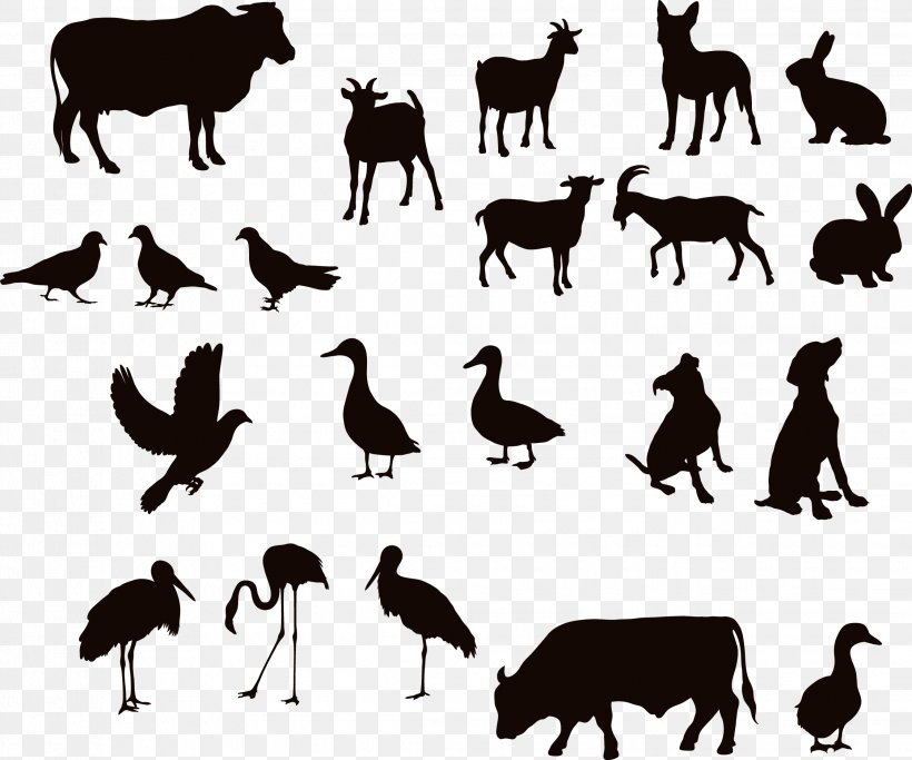 Cattle Water Buffalo Silhouette Duck, PNG, 2244x1871px, Cattle, Animal, Beak, Cartoon, Duck Download Free