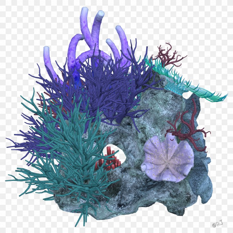 Coral Reef Deep Sea, PNG, 1600x1600px, Coral Reef, Aquarium Decor, Christmas Ornament, Coral, Deep Sea Download Free