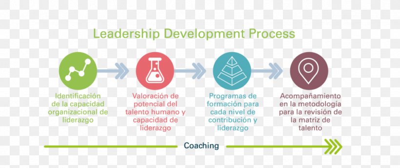 Leadership Desarrollo De Liderazgo Organization Talent Competence, PNG, 1024x433px, Leadership, Area, Brand, Character Structure, Coaching Download Free