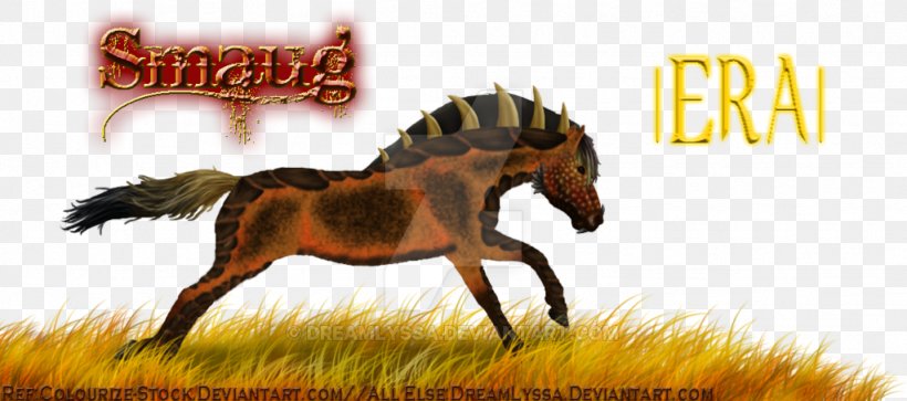 Mustang Stallion Colt Bridle Pack Animal, PNG, 1024x454px, Mustang, Bridle, Colt, Fauna, Grass Download Free