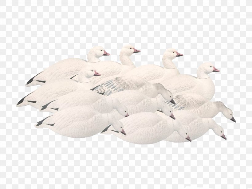 Snow Goose Mallard Swans Decoy, PNG, 2200x1650px, 13 Fishing, Goose, Avianx, Ceiling, Decoy Download Free
