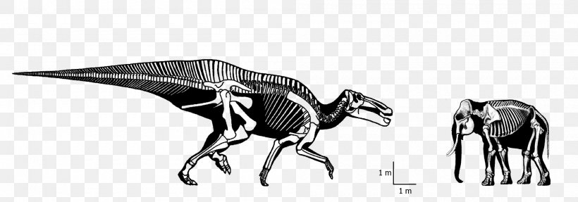 Tyrannosaurus Cattle Triceratops Dinosaur Drawing, PNG, 2000x700px, Tyrannosaurus, Animal, Animal Figure, Art, Artwork Download Free