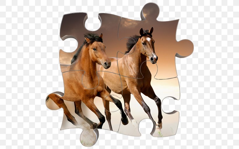Gypsy Horse Gallop Desktop Wallpaper Stallion Natural Horsemanship, PNG, 512x512px, Gypsy Horse, Animal, Bridle, Display Resolution, Equestrian Download Free