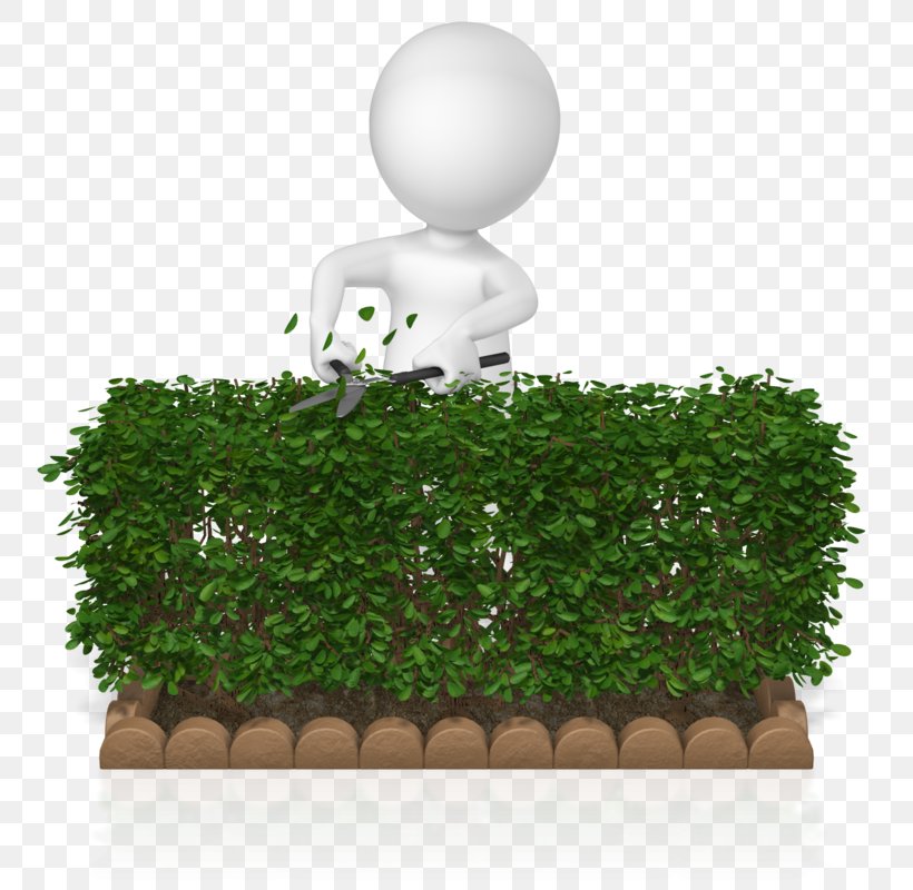 Hedge Fund Animation Clip Art, PNG, 800x800px, Hedge, Animation, Flowerpot, Gfycat, Grass Download Free