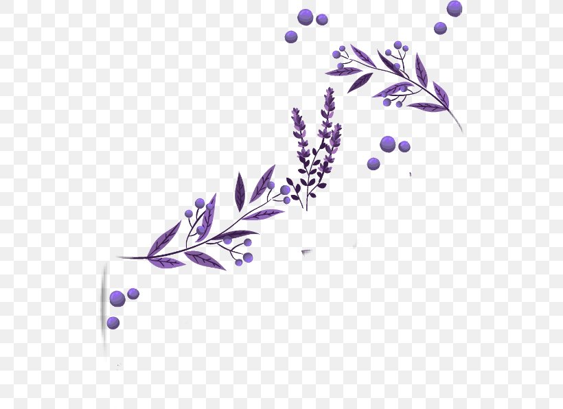 Flower Petal Clip Art Sticker Produce, PNG, 534x596px, Flower, Floral Design, Flowering Plant, Lavender, Petal Download Free