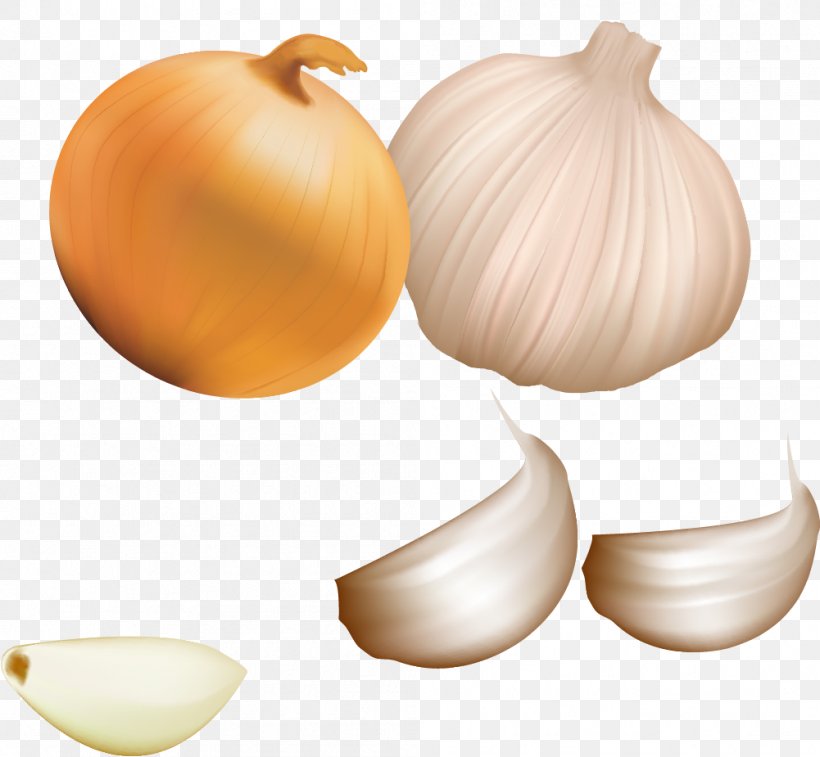 Garlic Icon, PNG, 1001x925px, Garlic, Adobe Systems, Art, Computer Graphics, Food Download Free