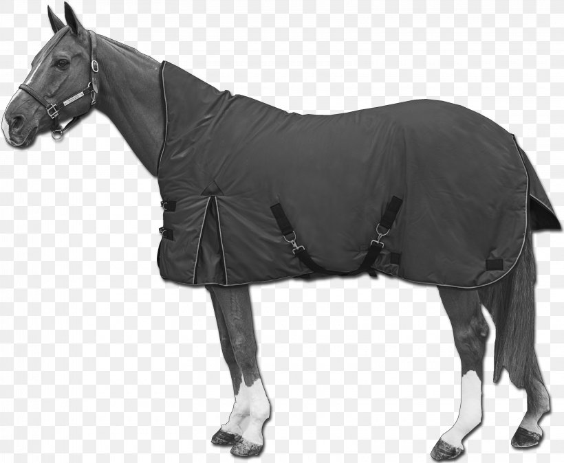 Horse Blanket Stallion Mare, PNG, 3240x2666px, Horse, Black And White, Blanket, Bridle, Canon Eos 1200d Download Free