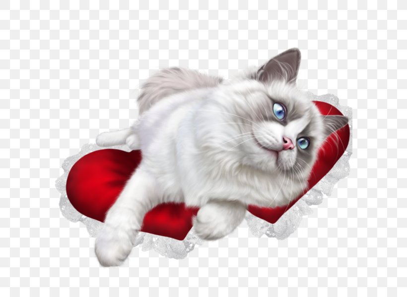 Ragdoll British Shorthair Kitten Clip Art, PNG, 600x600px, Ragdoll, Bicolor Cat, British Shorthair, Carnivoran, Cat Download Free