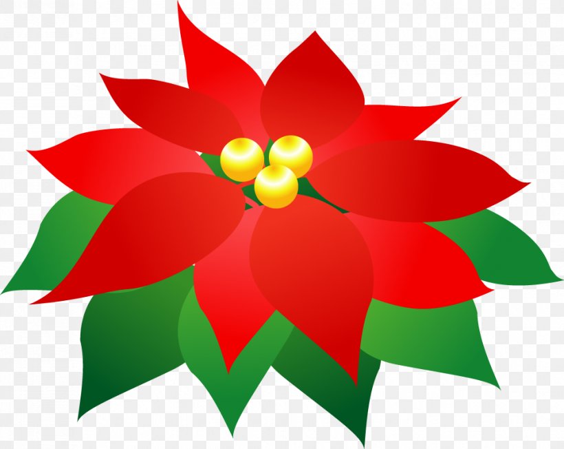 Red Poinsettia Green Clip Art, PNG, 967x770px, Red, Color, Color Scheme, Complementary Colors, Contrast Download Free