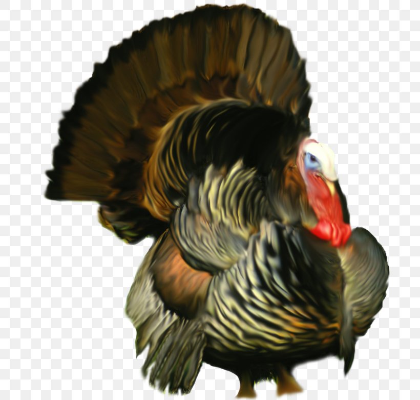 Turkey Food Chicken Clip Art, PNG, 705x780px, Turkey, Animal, Beak, Bird, Chicken Download Free
