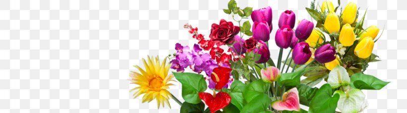 Floral Design Cut Flowers Artificial Flower Floristry, PNG, 1024x285px, Floral Design, Artificial Flower, Cut Flowers, Floristry, Flower Download Free
