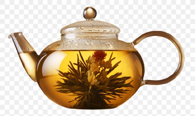Green Tea Coffee Flowering Tea Kettle, PNG, 829x493px, Tea, Caffeine, Chinese Tea, Chrysanthemum Tea, Coffee Download Free