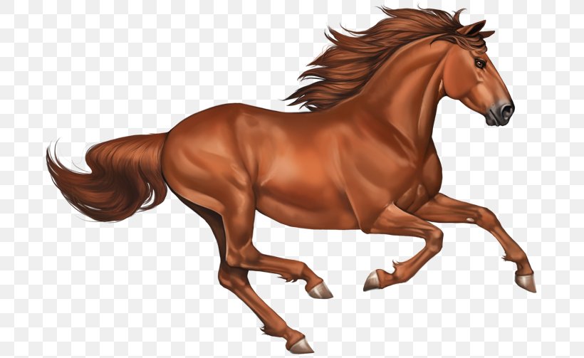 Mustang Stallion Clip Art, PNG, 700x503px, Mustang, Animal Figure, Bridle, Display Resolution, Foal Download Free