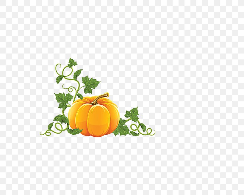 Pumpkin Royalty-free Halloween Clip Art, PNG, 640x656px, Pumpkin, Citrus, Drawing, Food, Fruit Download Free