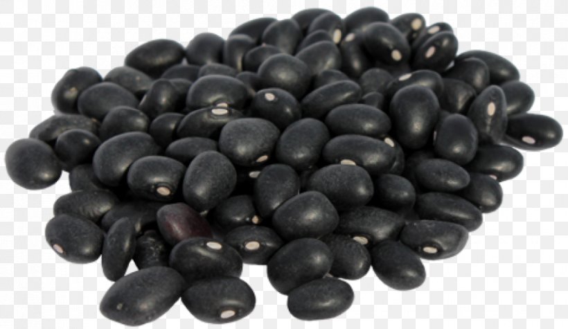 Black Turtle Bean Food Lentil, PNG, 850x493px, Black Turtle Bean, Bean, Berry, Blackeyed Pea, Blueberry Download Free