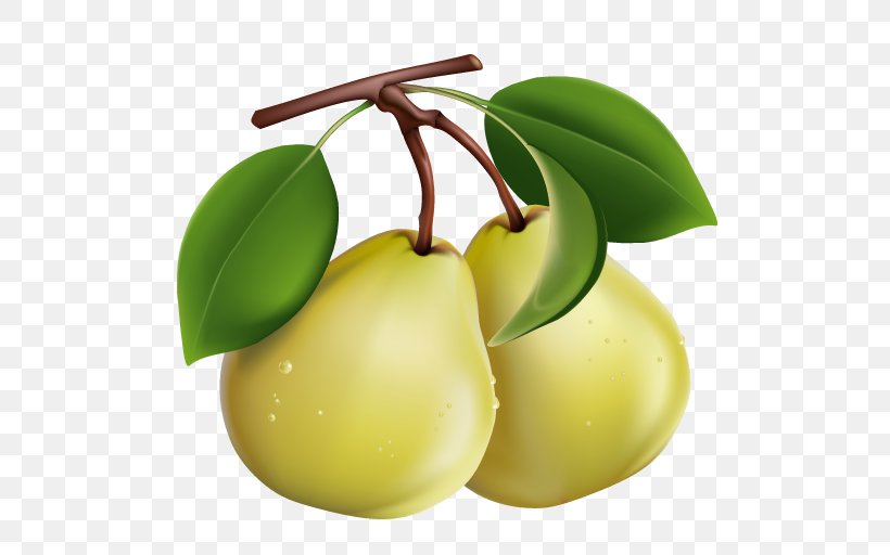 Clip Art Vector Graphics Illustration Image, PNG, 512x512px, Asian Pear, Apple, Chinese White Pear, Food, Fruit Download Free
