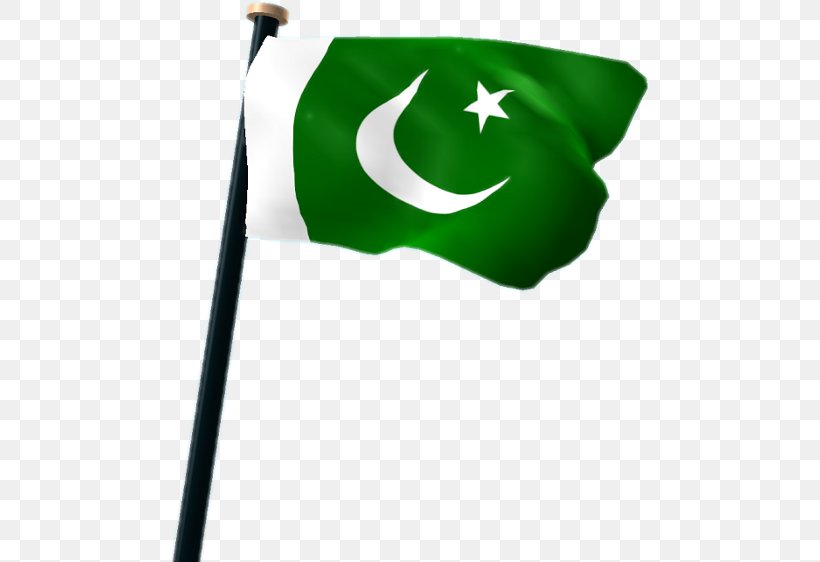 Flag Of Pakistan Icomania Guess The Icon Quiz National Flag, PNG, 480x562px, Flag, Android, Flag Of Pakistan, Green, Home Screen Download Free