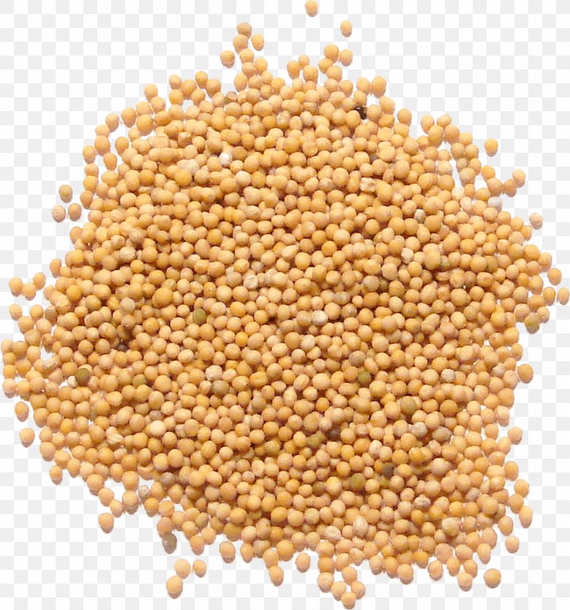 Mustard Seed Mustard Plant White Mustard Mustard Oil, PNG, 900x964px, Mustard Seed, Bean, Brassica Juncea, Caraway Seed Cake, Cereal Download Free