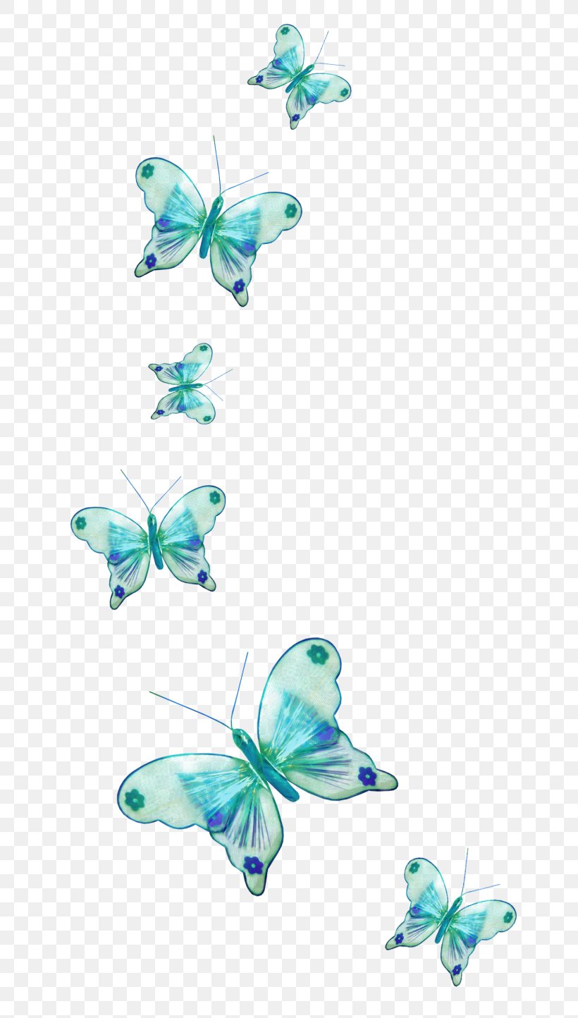 Butterfly Desktop Wallpaper 1080p Display Resolution, PNG, 700x1444px, Butterfly, Aqua, Blue, Display Resolution, Flower Download Free
