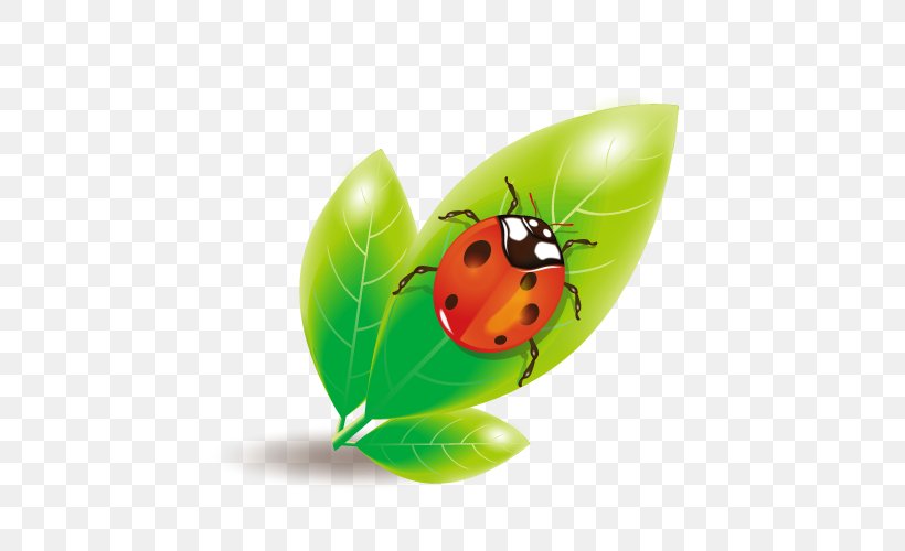 Ladybird Euclidean Vector, PNG, 500x500px, Ladybird, Beetle, Butterfly, Ecology, Fruit Download Free