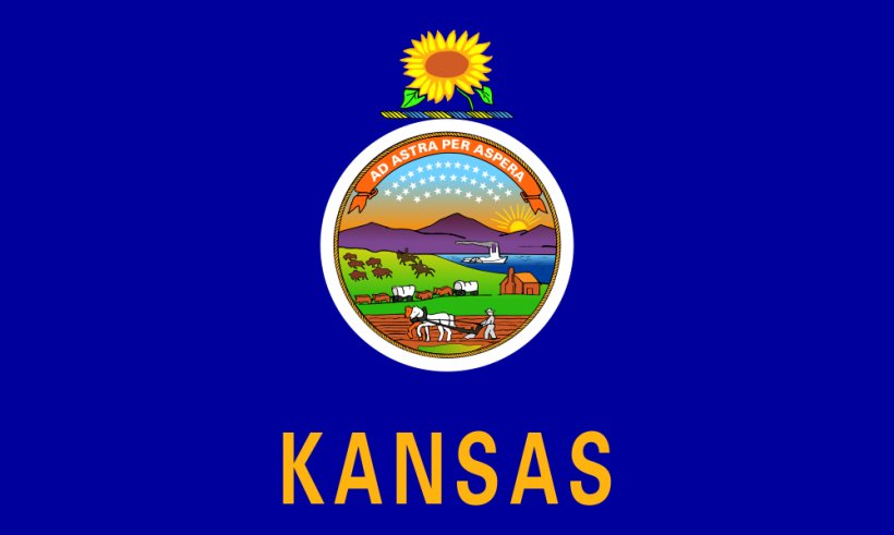 Flag Of Kansas State Flag Flag Of The United States, PNG, 1000x600px, Kansas, Brand, Christmas Ornament, Flag, Flag Of Kansas Download Free