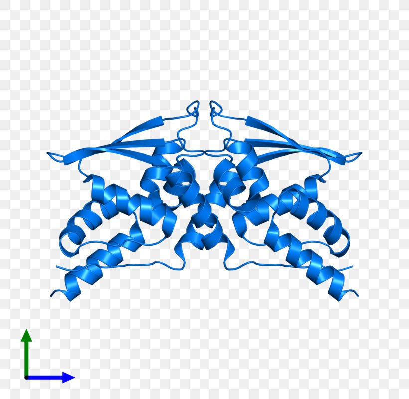 Line Point Invertebrate Clip Art, PNG, 800x800px, Point, Blue, Electric Blue, Invertebrate, Organism Download Free