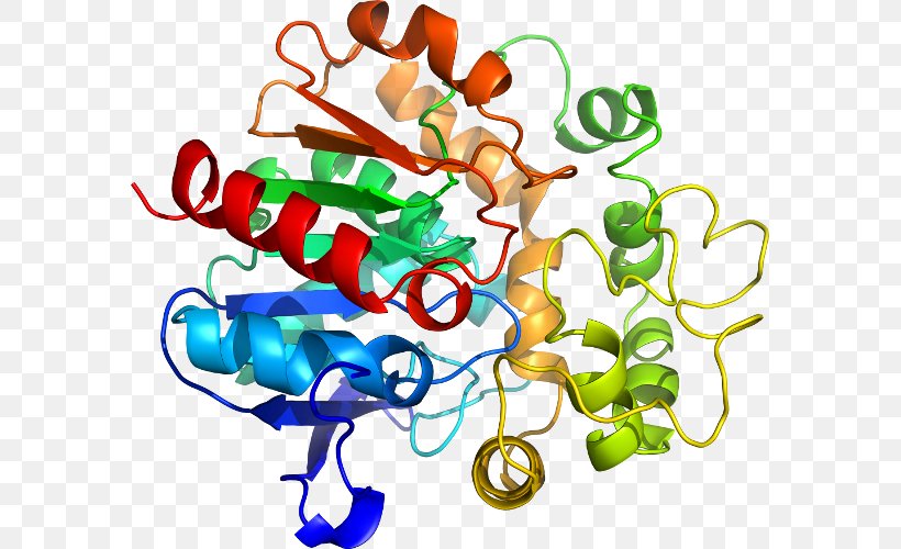 SPINT1 Chemical Reaction Protein Enzyme Chemistry, PNG, 581x500px, Chemical Reaction, Artwork, Catalysis, Chemical Substance, Chemistry Download Free