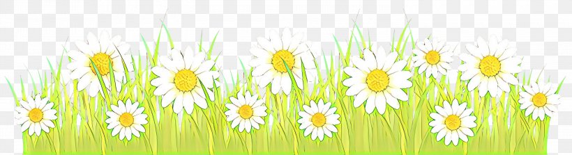 Green Grass Background, PNG, 3000x818px, Meadow, Bangkok, Camomile, Chamaemelum Nobile, Chamomile Download Free