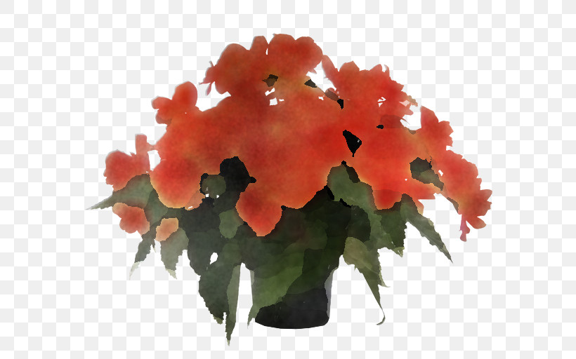Orange, PNG, 600x512px, Flower, Flowerpot, Houseplant, Leaf, Orange Download Free