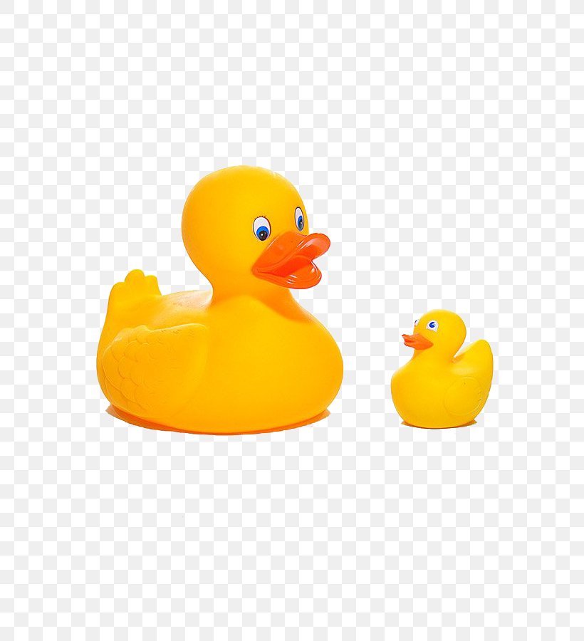 Rubber Duck Yellow Bathroom Toy, PNG, 600x900px, Duck, Bath Body Works, Bathroom, Beak, Bird Download Free