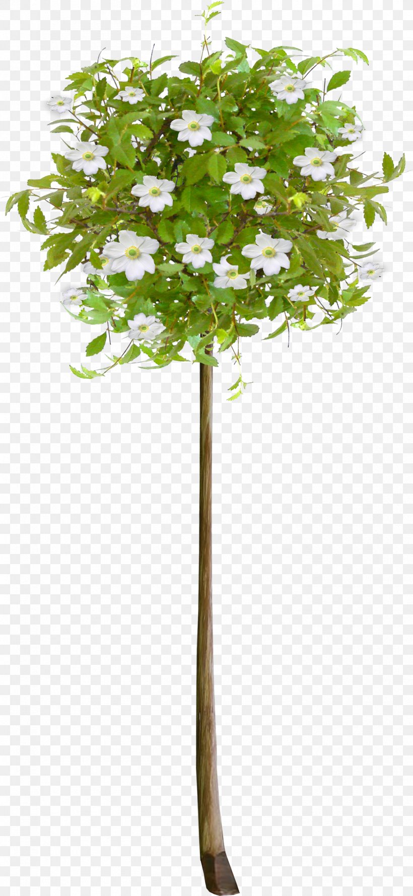 Tree Flower Clip Art, PNG, 1414x3068px, Tree, Blog, Branch, Data Compression, Flower Download Free