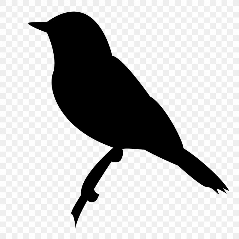 Common Starling Bird Wren Thrush, PNG, 900x900px, Starling, American Crow, Beak, Bird, Black And White Download Free