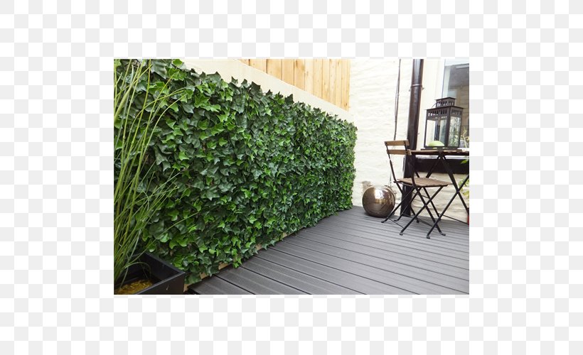 Hedge Fence Garden Ivy Vine, PNG, 500x500px, Hedge, Artificial Turf, Balcony, Evergreen, Fence Download Free