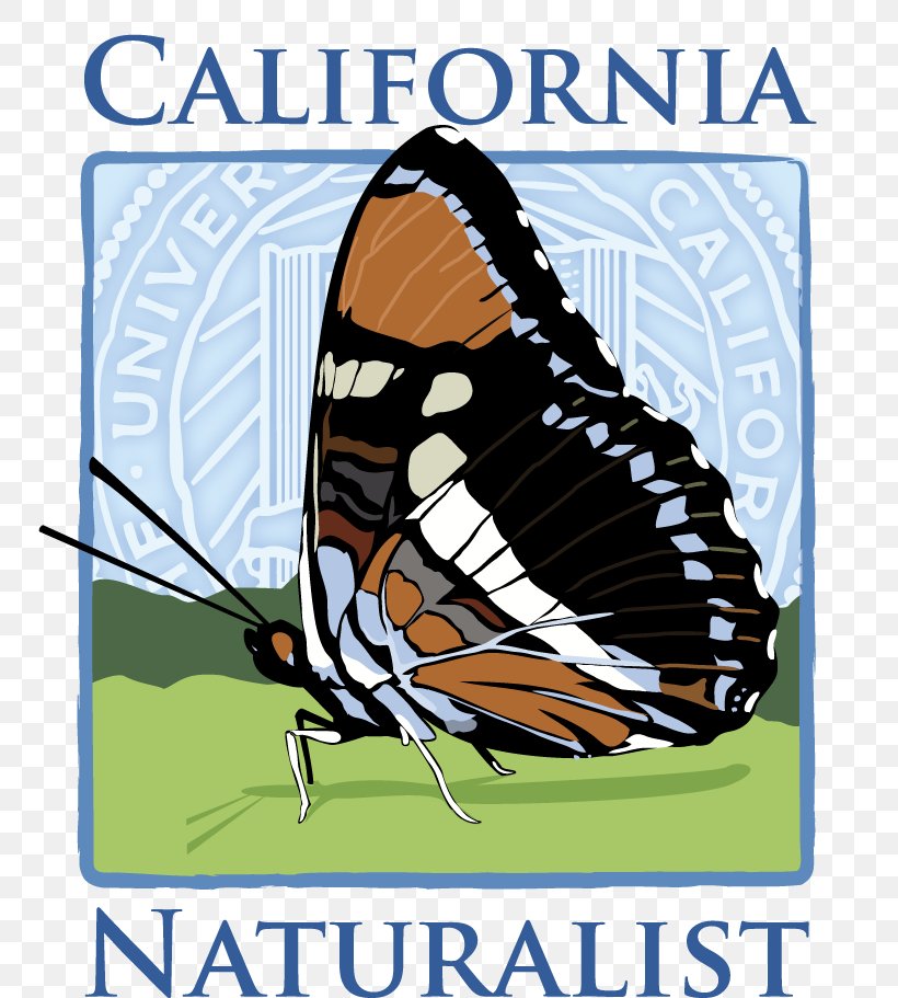Monarch Butterfly California Naturalist, PNG, 769x911px, 2019, Monarch Butterfly, Arthropod, Brush Footed Butterfly, Brushfooted Butterflies Download Free