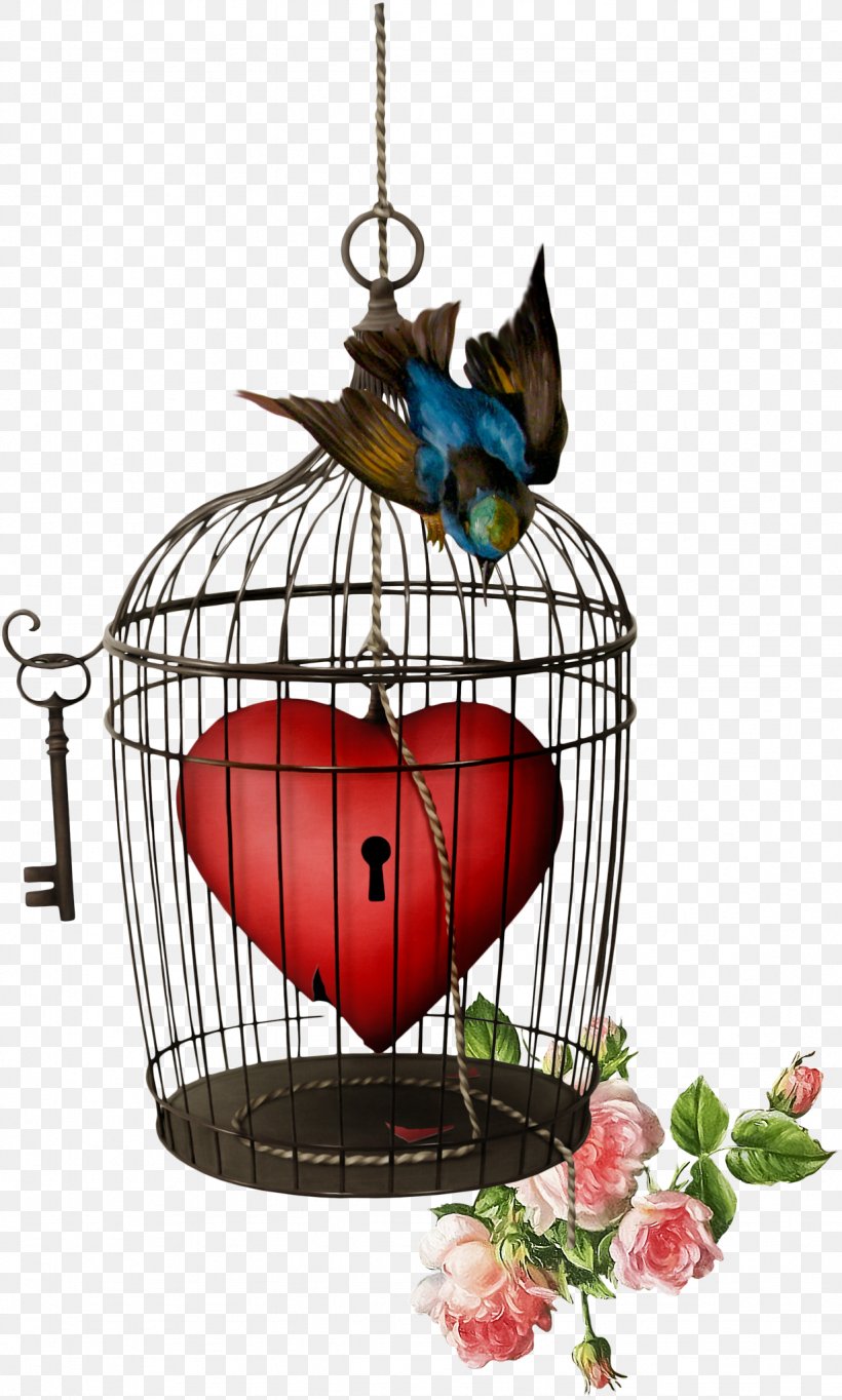 Birdcage Birdcage Clip Art, PNG, 1229x2045px, Bird, Birdcage, Cage, Digital Image, Email Download Free