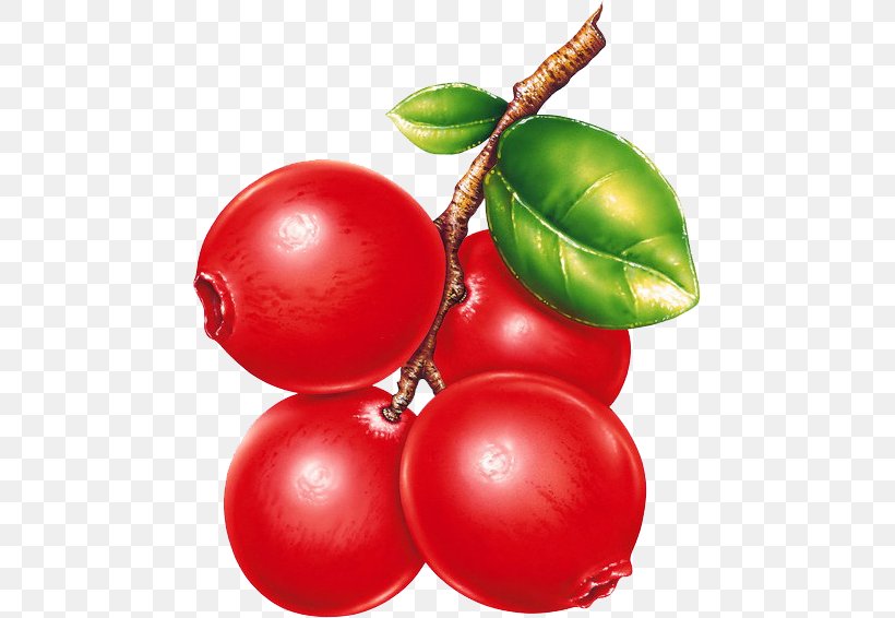 Clip Art, PNG, 465x566px, Sound, Berry, Bilberry, Blueberry, Bush Tomato Download Free